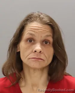 Mugshot of AMY LEANN ADAMS booked in Knox County, Tennessee on June 24, 2026