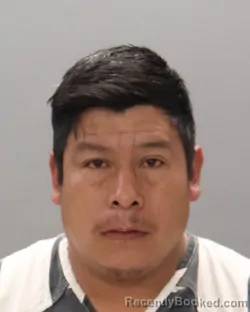 Mugshot of FRANCISCO ANDRES