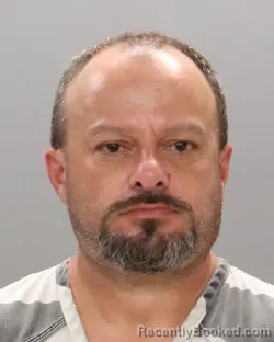 Mugshot of Danah Paul Davis