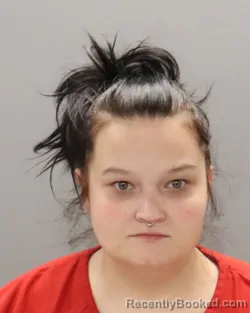 Mugshot of NANCY ANN PARIS