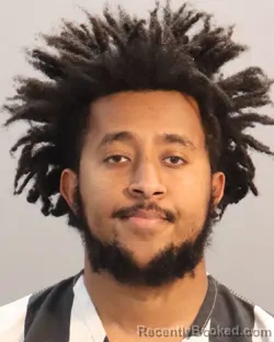 Mugshot of YEABSIRA HAGG