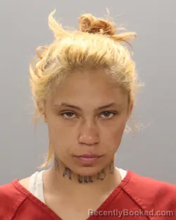 Mugshot of CARISSA BREANNA ROGERS