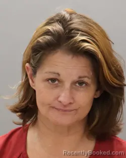 Mugshot of SHIALA MARIE TIPPINS