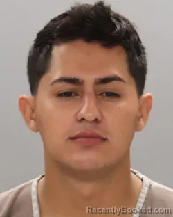 Mugshot of Jeyson Adaliad Romero booked in Knox County, Tennessee on August 14, 2026