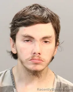 Mugshot of SHANE KING