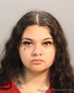 Mugshot of YESENYA LESHELLE NUGRAHA booked in Knox County, Tennessee on June 30, 2026