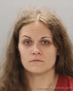 Mugshot of Ann Gabrielle Dillard booked in Knox County, Tennessee on September 6, 2026