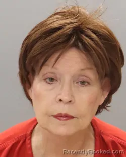 Mugshot of Debra Lindsey Ferguson booked in Knox County, Tennessee on September 11, 2026