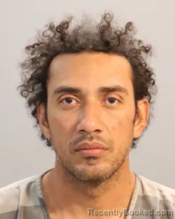 Mugshot of LESTER ALEJANDR MORGAN-ACEVEDO