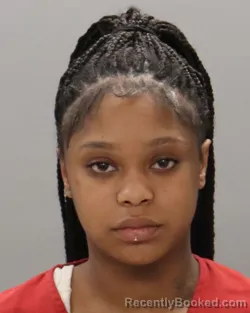 Mugshot of AIRIANA L MILLER