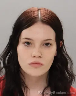 Mugshot of CALISTO JEWELYAN SELAINA NICKERSON booked in Knox County, Tennessee on April 5, 2026