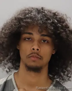 Mugshot of MICAH TROY MARIA-LINER