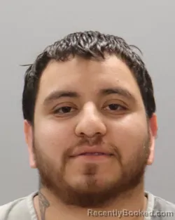 Mugshot of DANYER JOSE GONZALEZ IBARRA