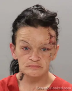 Mugshot of SHENNA NICOLE HAMOCK booked in Knox County, Tennessee on April 5, 2026