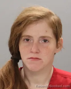 Mugshot of AMY LYNN LAWSON