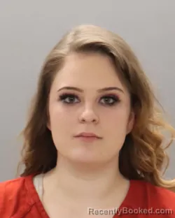 Mugshot of AMANDA LEE OLSON