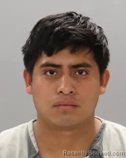 Mugshot of ELMER TORRES-ROSARIO
