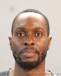 Mugshot of OLUMAYOWA OLAWALE ADETUJOYE