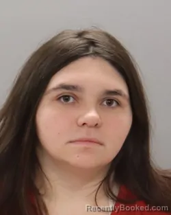 Mugshot of KRISTI ANNETTE BAUM