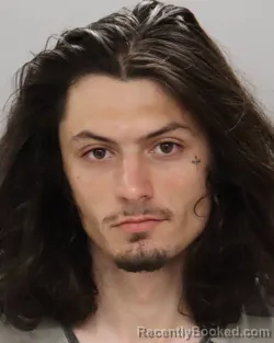 Mugshot of DIAMOND BLAKE NICHOLSON