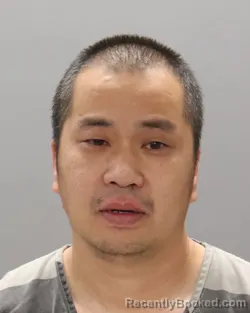 Mugshot of JIN FENG WANG