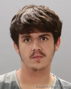 Booking photo from Knox County, Tennessee