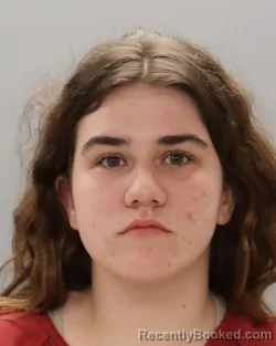 Mugshot of KAITLYNN JEANNE MEADOR booked in Knox County, Tennessee on April 5, 2026