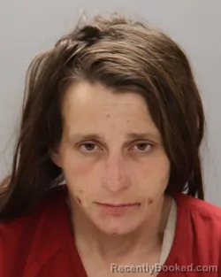 Mugshot of AMANDA N UNDERWOOD