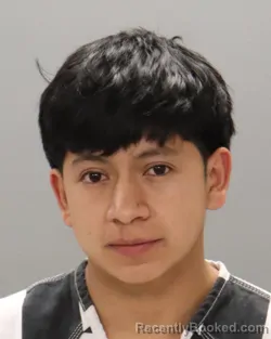 Mugshot of CHRISTIAN MEJIA