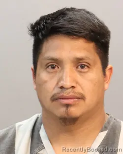 Mugshot of JUAN DOMINGO