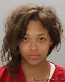 Mugshot of KARLEIGH JOY KELLEPOUREY