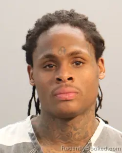 Mugshot of DERRICK LEE BASSETT