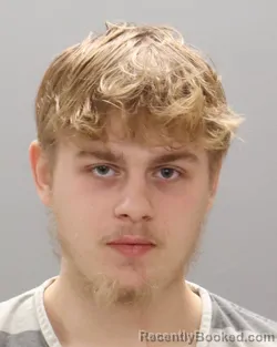 Mugshot of BRYSON EARL-HUGH MATHES