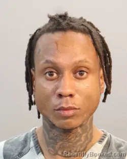 Mugshot of DETORRANCE LAVELL WILLIAMS