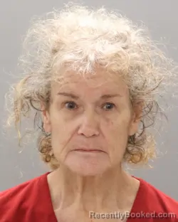 Mugshot of SANDRA DEE MENDEZ