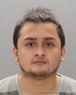 Mugshot of JUAN D ESCAMILLA
