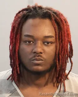 Mugshot of ROBERT BRABSON