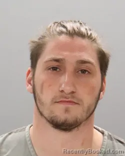 Mugshot of HUNTER DILLS