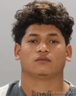 Mugshot of KELVIN BENITEZ  FLORES