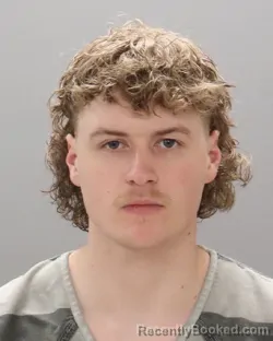 Mugshot of DAVID ALEXANDER WOOD