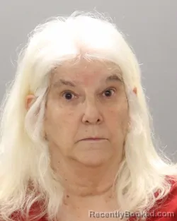 Mugshot of AMY D FIELDS