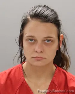 Mugshot of Bethany Shiann Hollenhead booked in Knox County, Tennessee on October 21, 2026