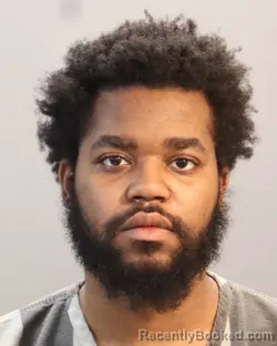 Mugshot of MARSILLAIS FLORENCE GORECHIER