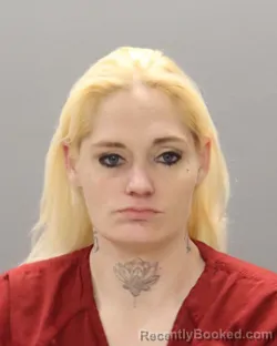 Mugshot of NIKKI MARIE LAWSON