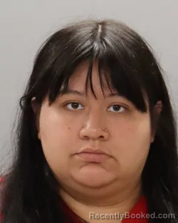 Mugshot of DIANA LOPEZ booked in Knox County, Tennessee on May 11, 2026