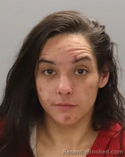 Mugshot of ERIN ARMAS-SURRETT