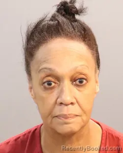 Mugshot of DEBRA ANN KINCAIDE booked in Knox County, Tennessee on April 21, 2026