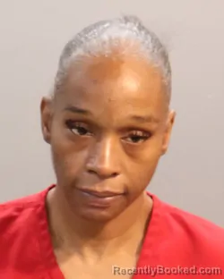 Mugshot of CHASITY MARQUIS ROGERS