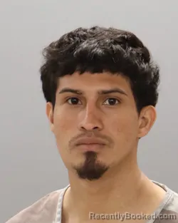 Mugshot of LESTER JULIAN-OCHOA