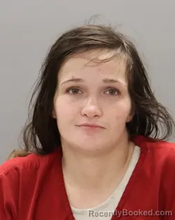 Mugshot of ASHLYN REANNE PONTHIER
